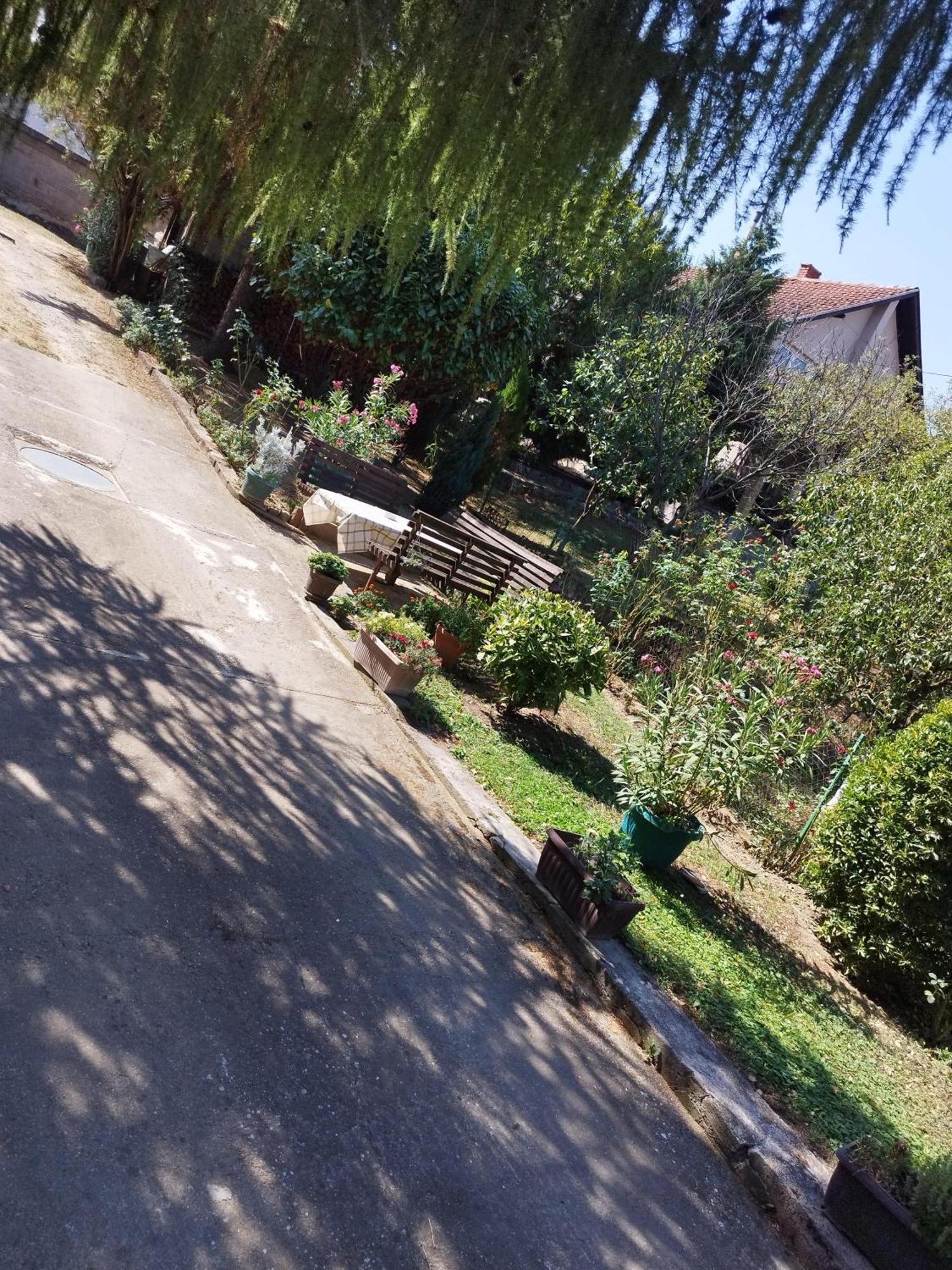 Studio 1 Golubac Exterior foto